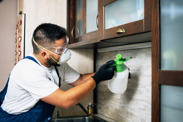 Best Commercial Pest Control Services  in Harris Hill, NY