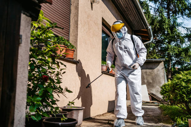Best Rat Extermination Near Me  in Harris Hill, NY