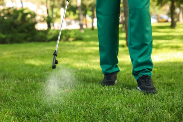 Best Local Pest Control Services  in Harris Hill, NY
