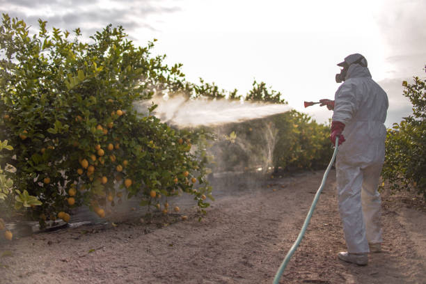 Best Cockroach Control Services  in Harris Hill, NY