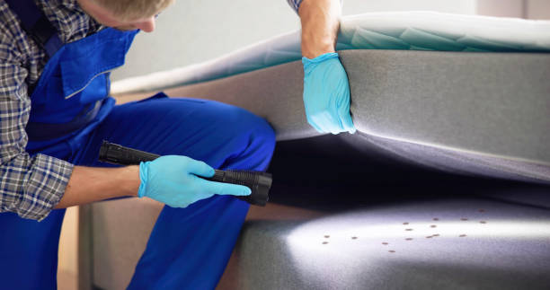 Best Affordable Pest Control Services  in Harris Hill, NY
