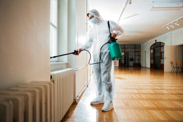 Best Flea Control Services  in Harris Hill, NY