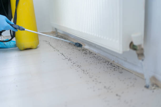 Best Pest Removal Services  in Harris Hill, NY