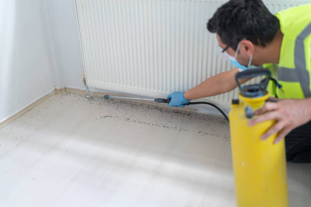 Reliable Harris Hill, NY Pest Control Solutions