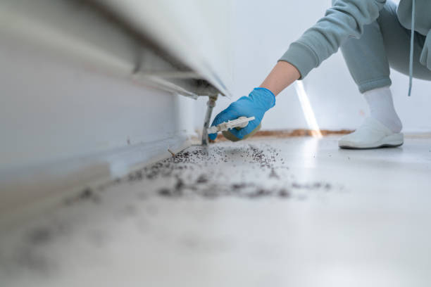 Best Wildlife Control Services  in Harris Hill, NY