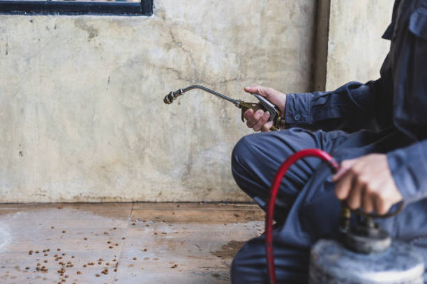 Best Affordable Pest Control Services  in Harris Hill, NY