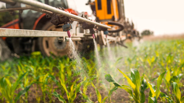 Best Commercial Pest Control Services  in Harris Hill, NY